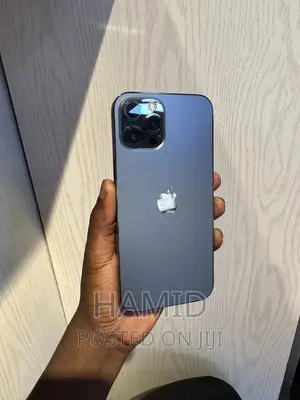 Apple iPhone 12 Pro Max 256 GB Blue