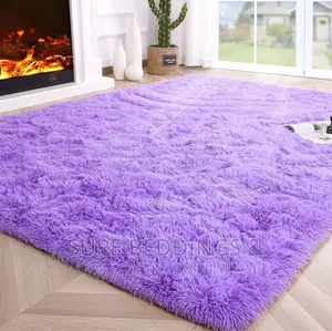 Modern Fluffy Carpet
