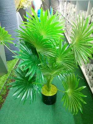 Artificial Plants and Flowers