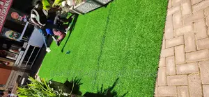 Artificial Grass