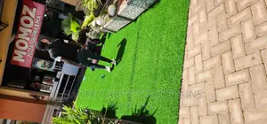Artificial Grass