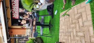 Artificial Grass