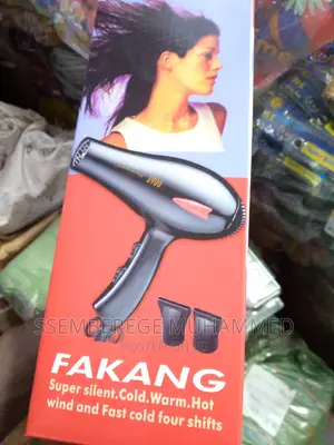 Fakang Hair Dryer