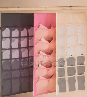 Bra and Socks Organizer