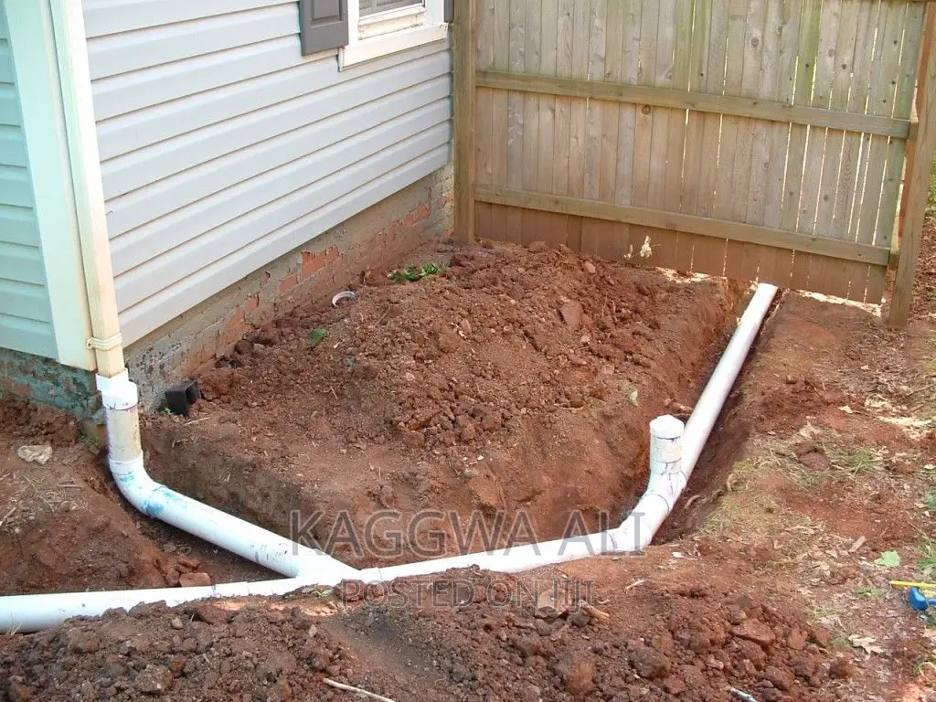 Professional Plumber