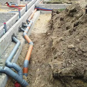 Professional Plumber