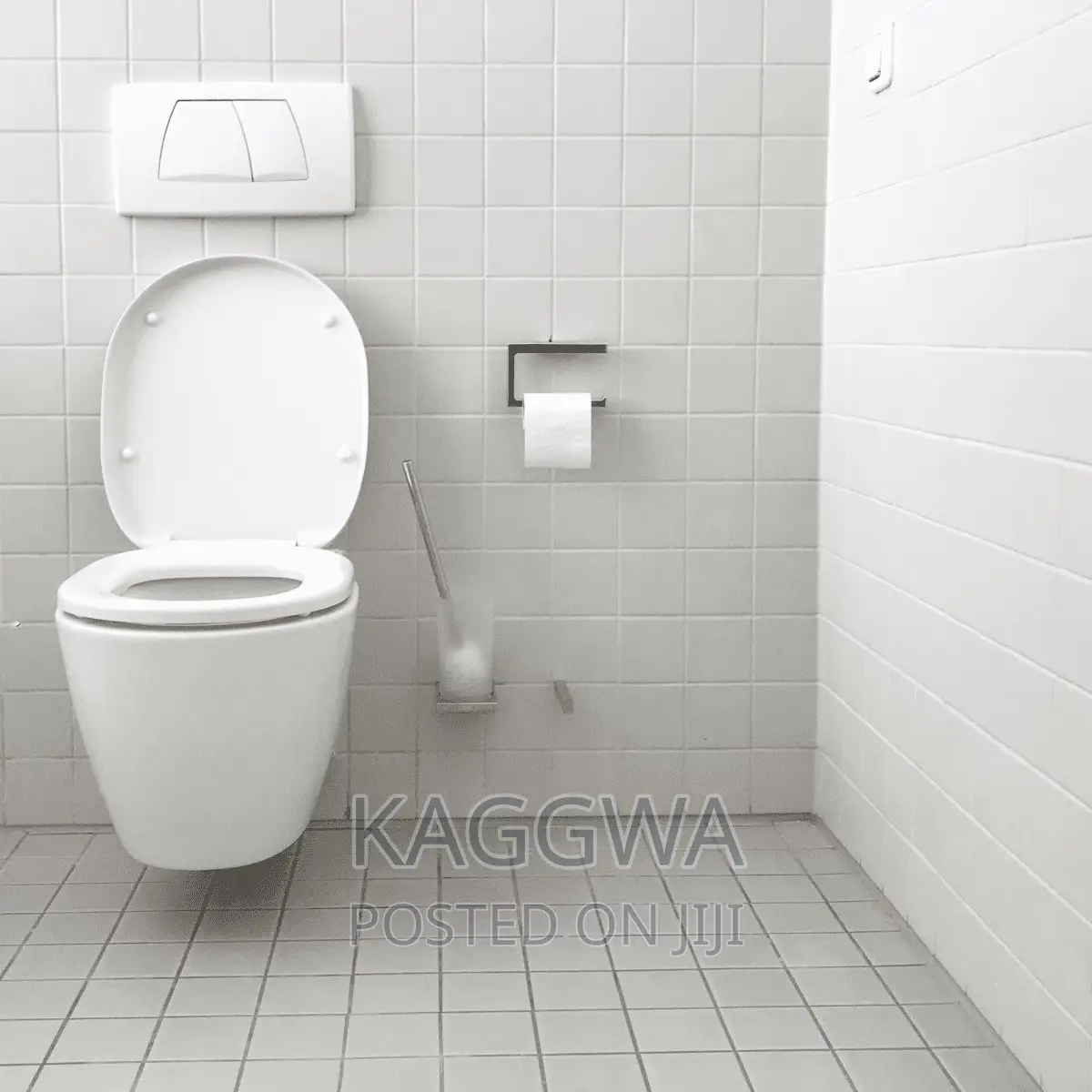 Ceramics Toilets