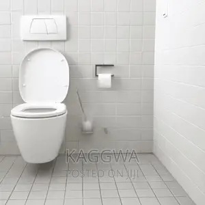 Ceramics Toilets
