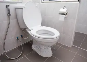 Ceramics Toilets