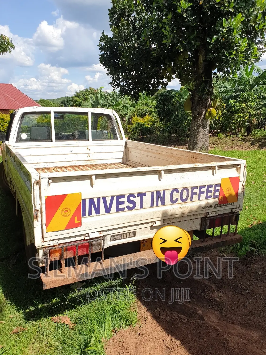 Pickup Available for Hire for Light and Heavy Goods
