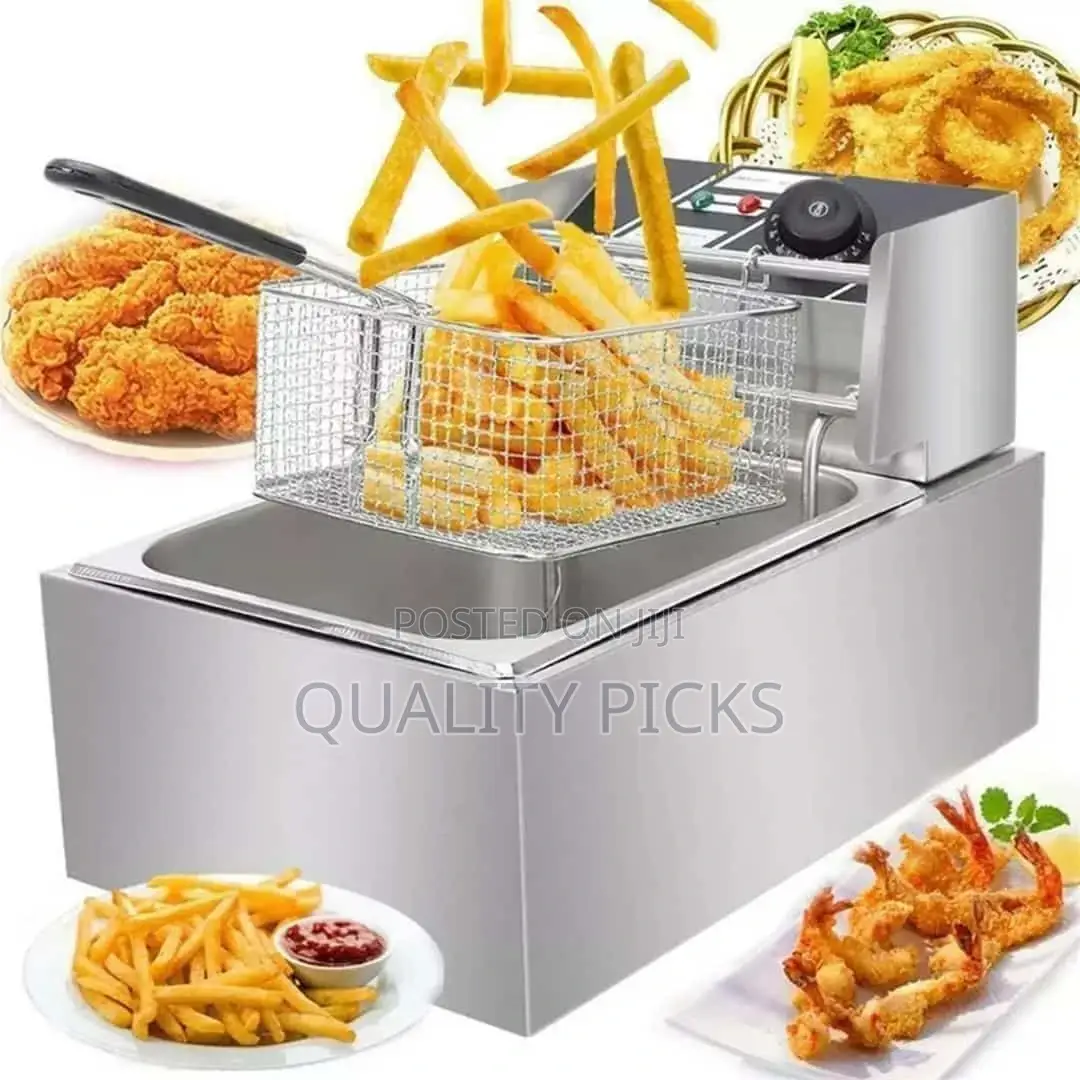 Electric Deep Fryer