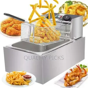 Electric Deep Fryer