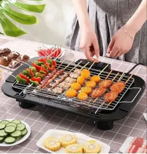 Portable Electric BBQ Grill