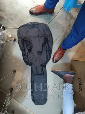 Acoustic Guitar Bags