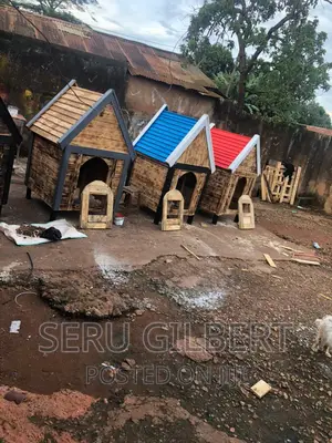 Bvcdd. Nice Dog House Available