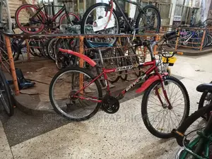 Bikes for Adults