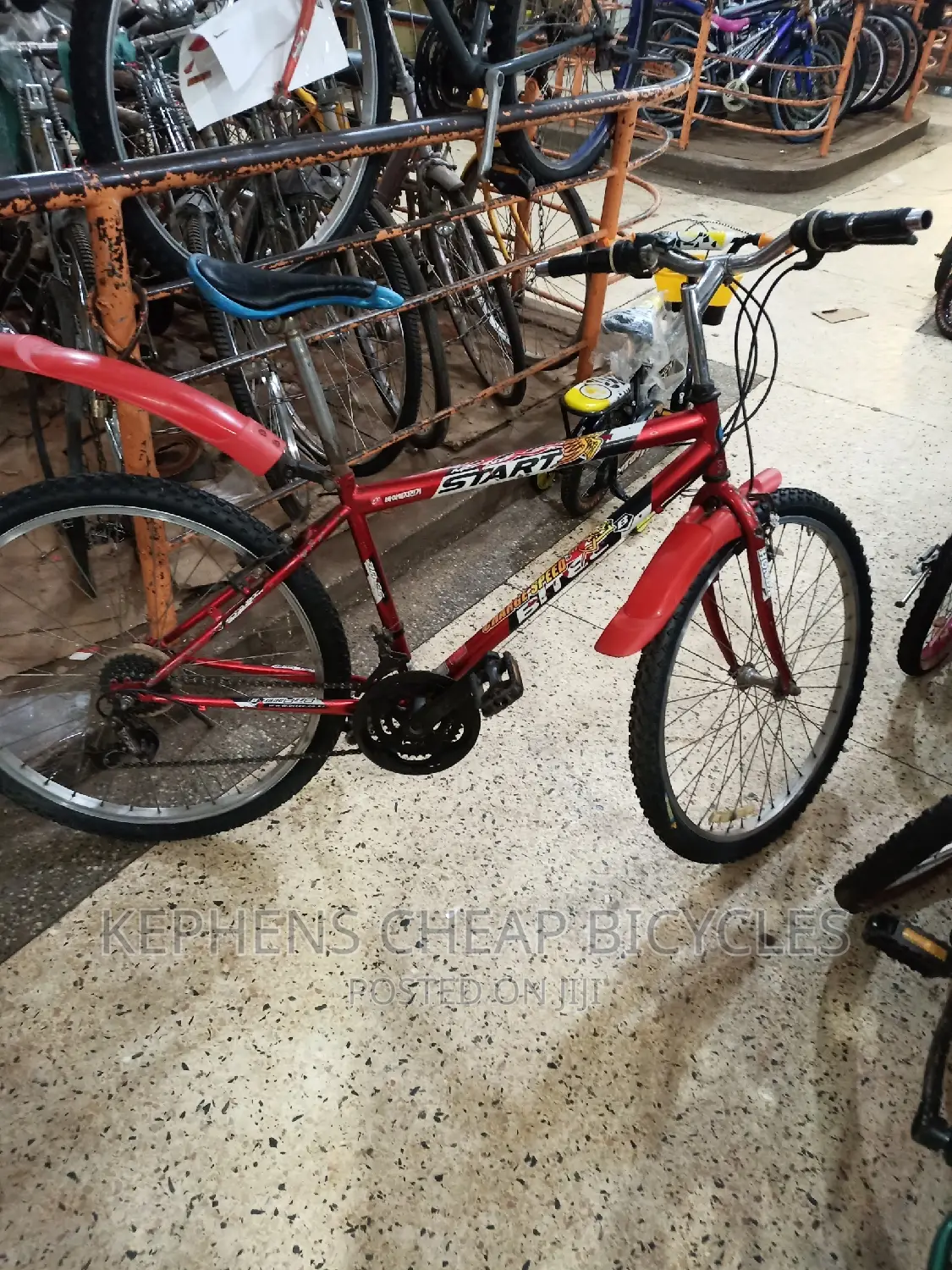 Bikes for Adults