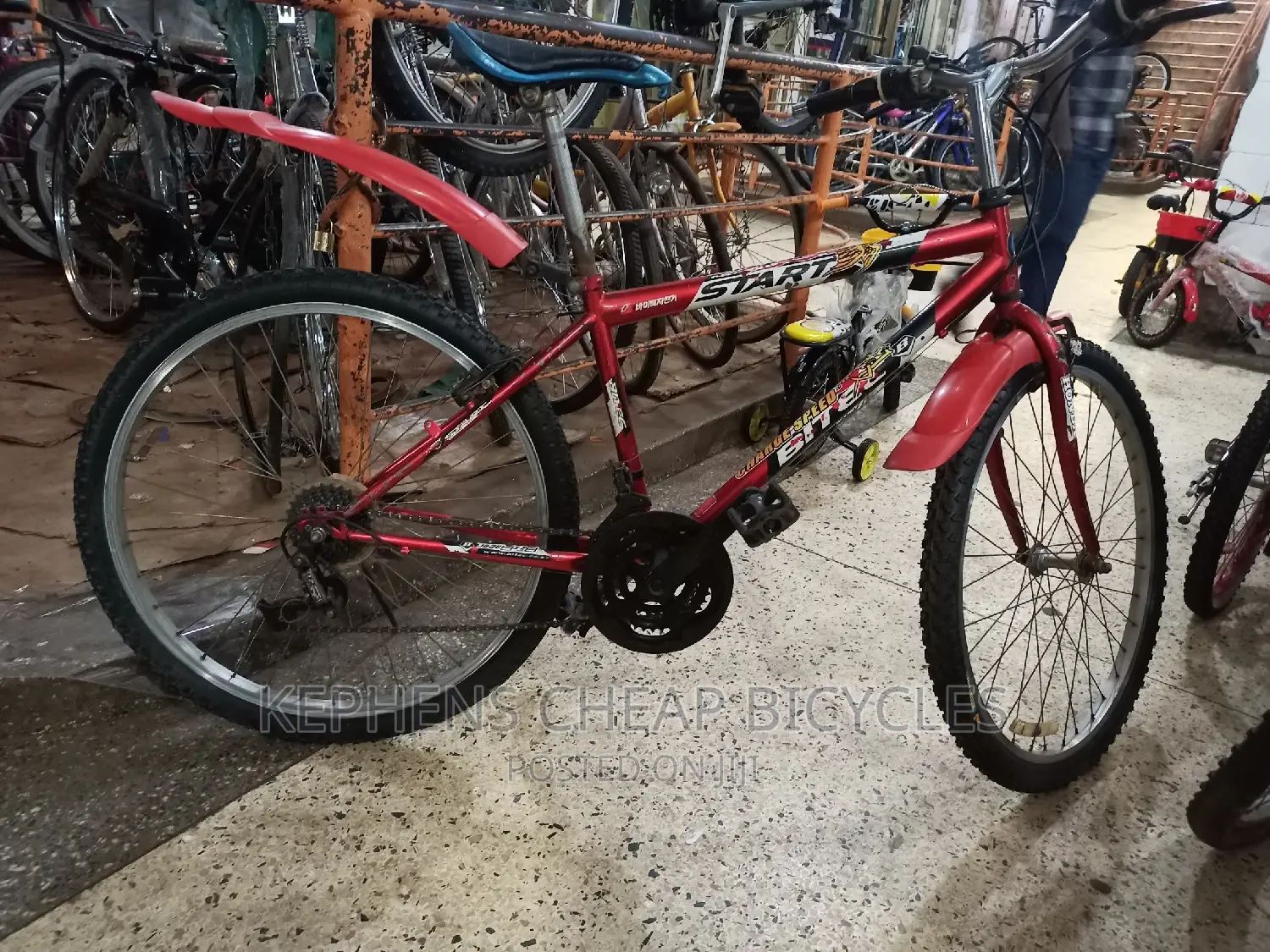Bikes for Adults
