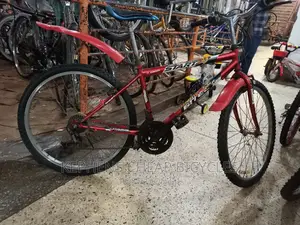 Bikes for Adults