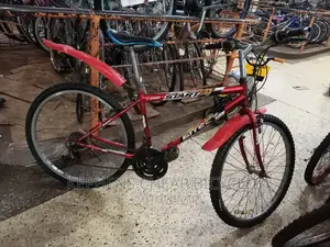 Bikes for Adults