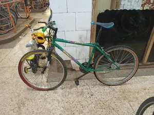 Safari Bike Size 26