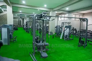 Artificial Grass Carpets