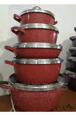 Dessini Cooking Pots/ Serving Dishes - Maroon