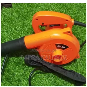 Electric Hand Air Blower