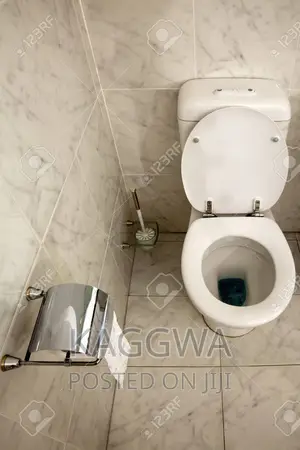 Professional Plumbers on Work