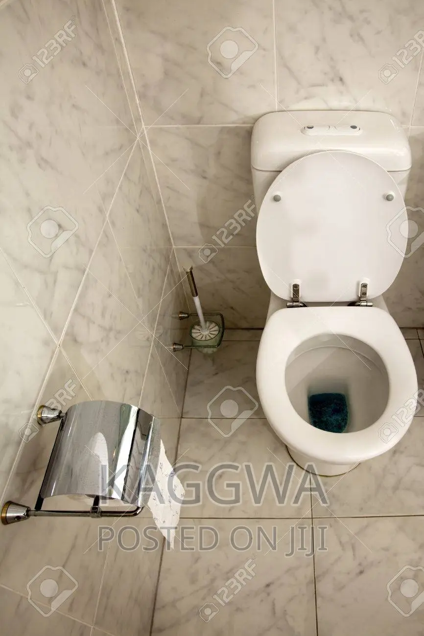 Professional Plumbers on Work