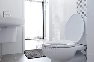 Professional Plumbers on Work