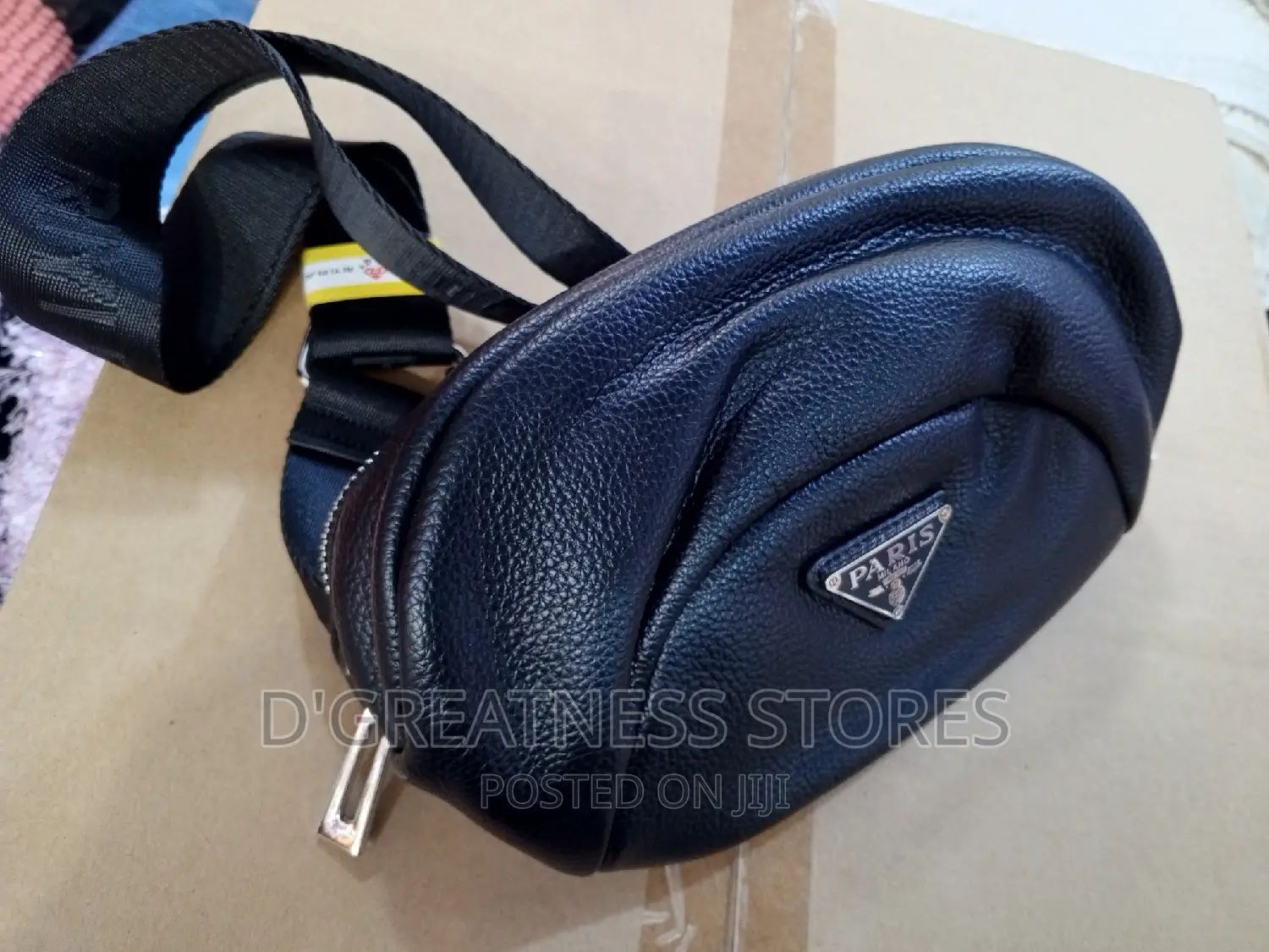 Chest/ Waiste Bag