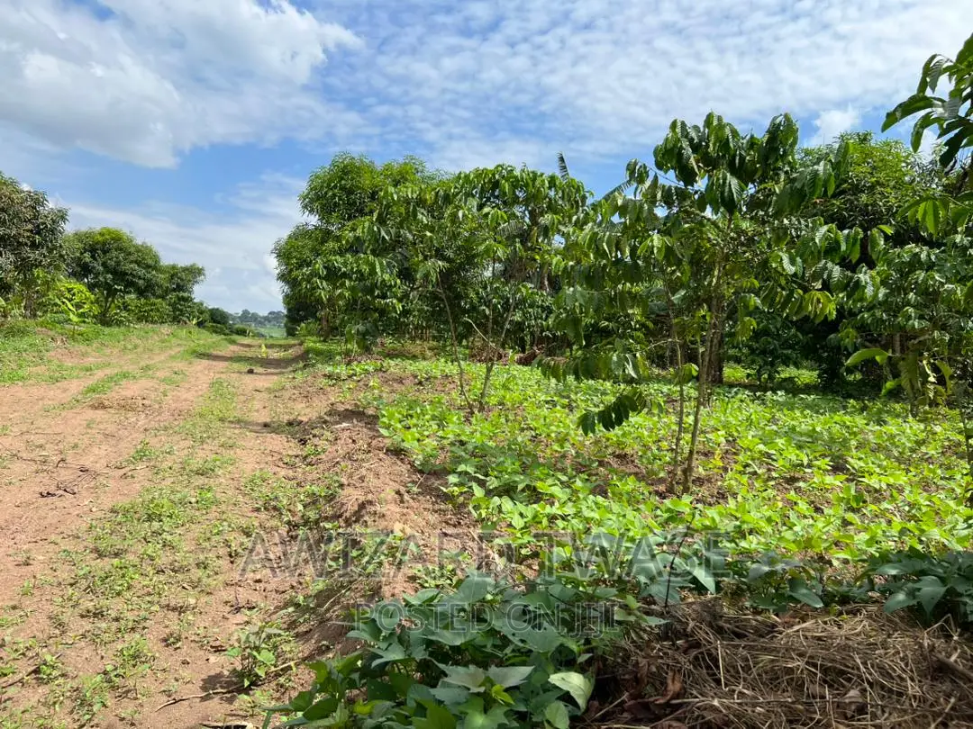 Land Title Plots