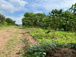 Land Title Plots