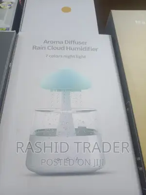 Raining Cloud Humidifier