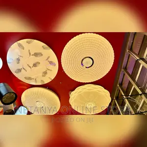 Luxury Ceiling Lights