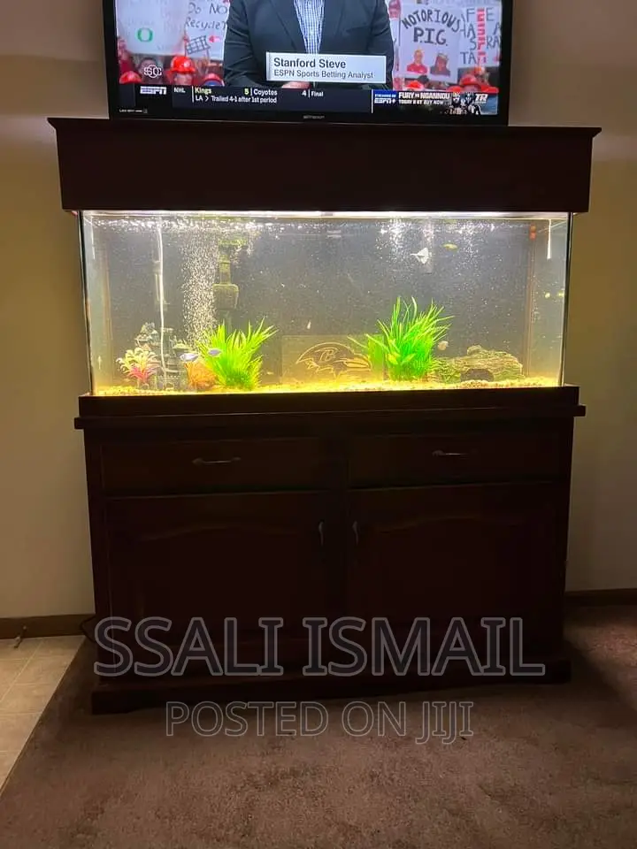 A Simple Well Designed Simple Aquarium