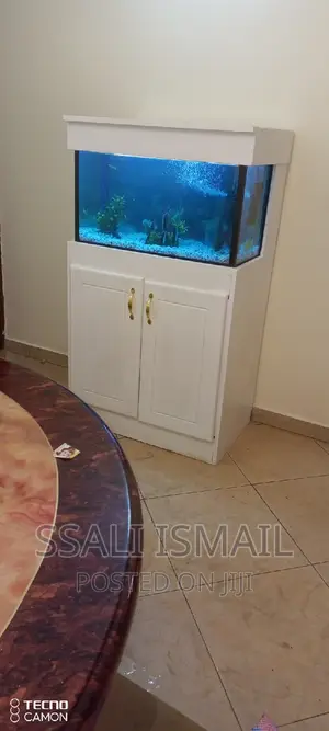 Medium Size Aquarium White Color