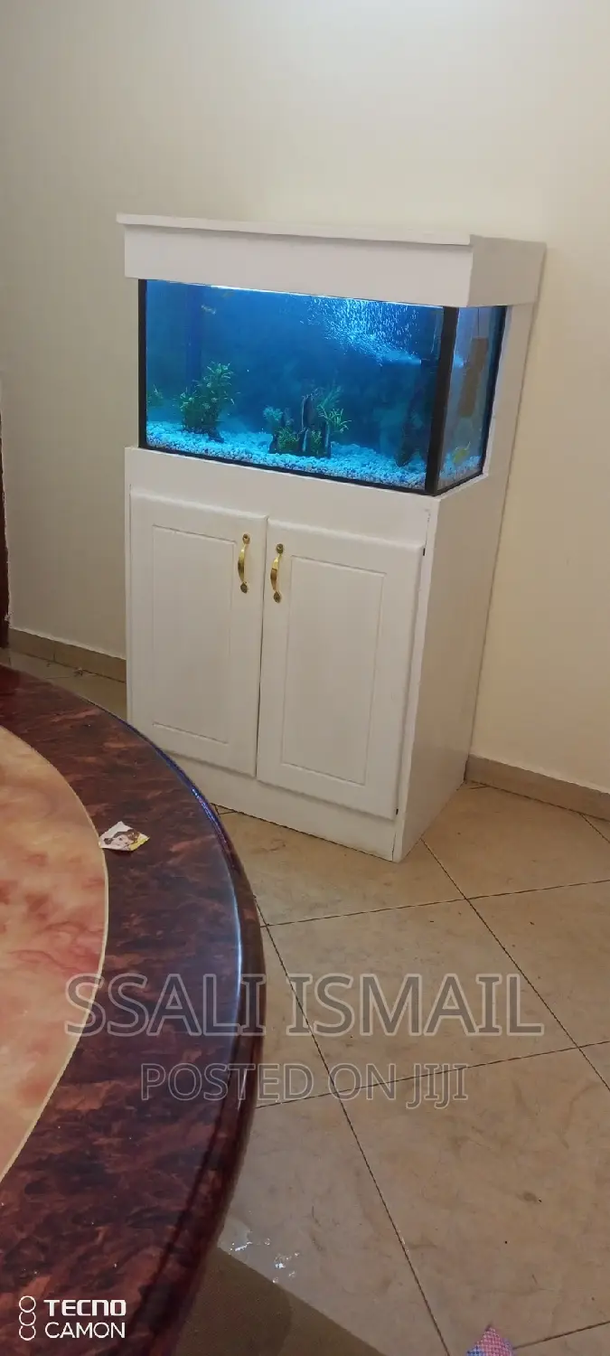 Medium Size Aquarium White Color