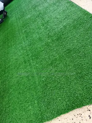 Artificial Turf Grass/Grass Carpet/Grass Carpet