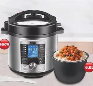 DSP Electric Rice Cooker