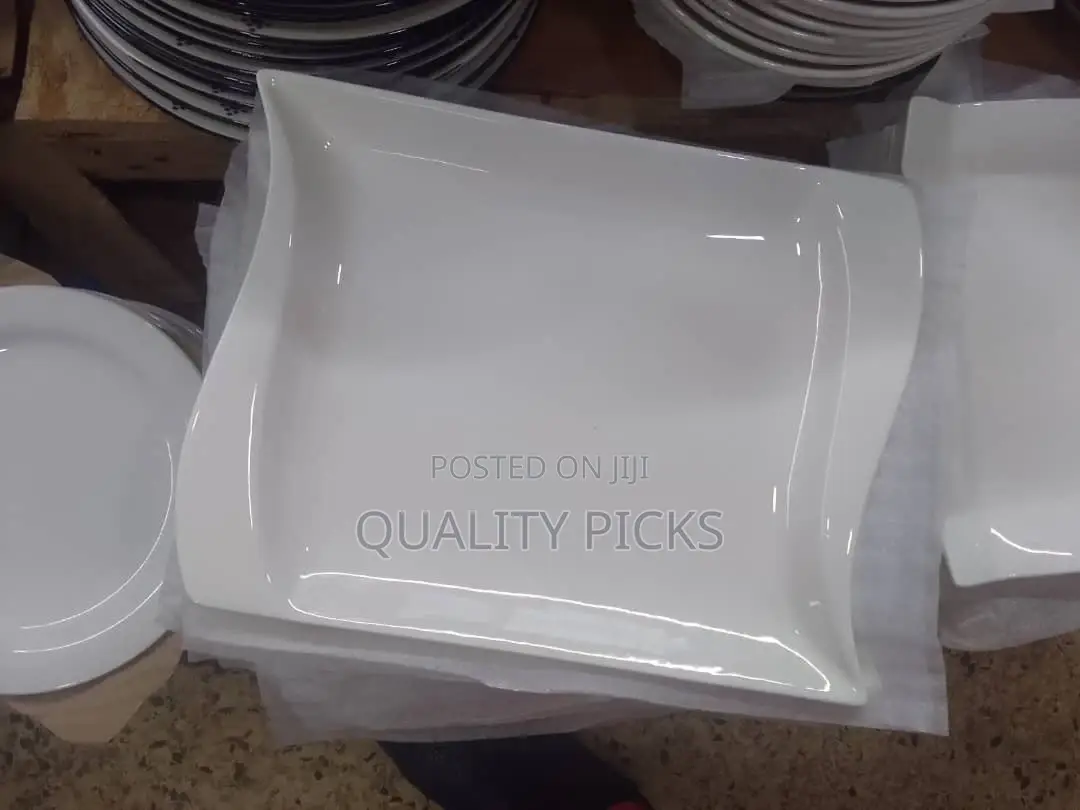 Dinner Plate Set