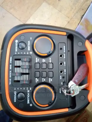 Portable Speaker 1098