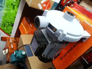 Electric Surface Pump