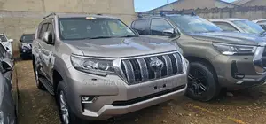 Toyota Land Cruiser Prado 2020 Gray