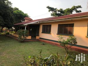 Three Bedroom Bungalow in Makindye for Rent