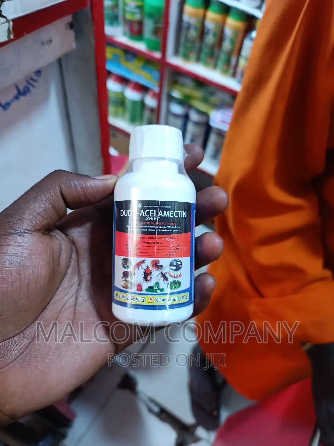 Bedburgs And Insect Killer