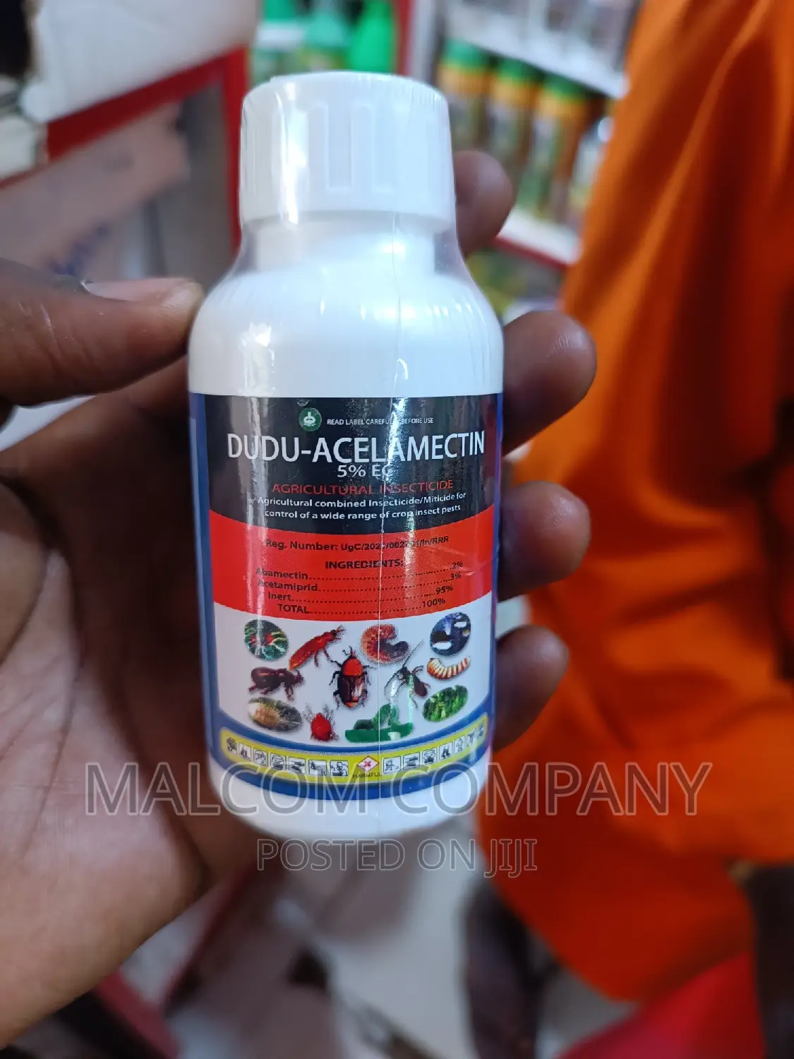 Bedburgs And Insect Killer