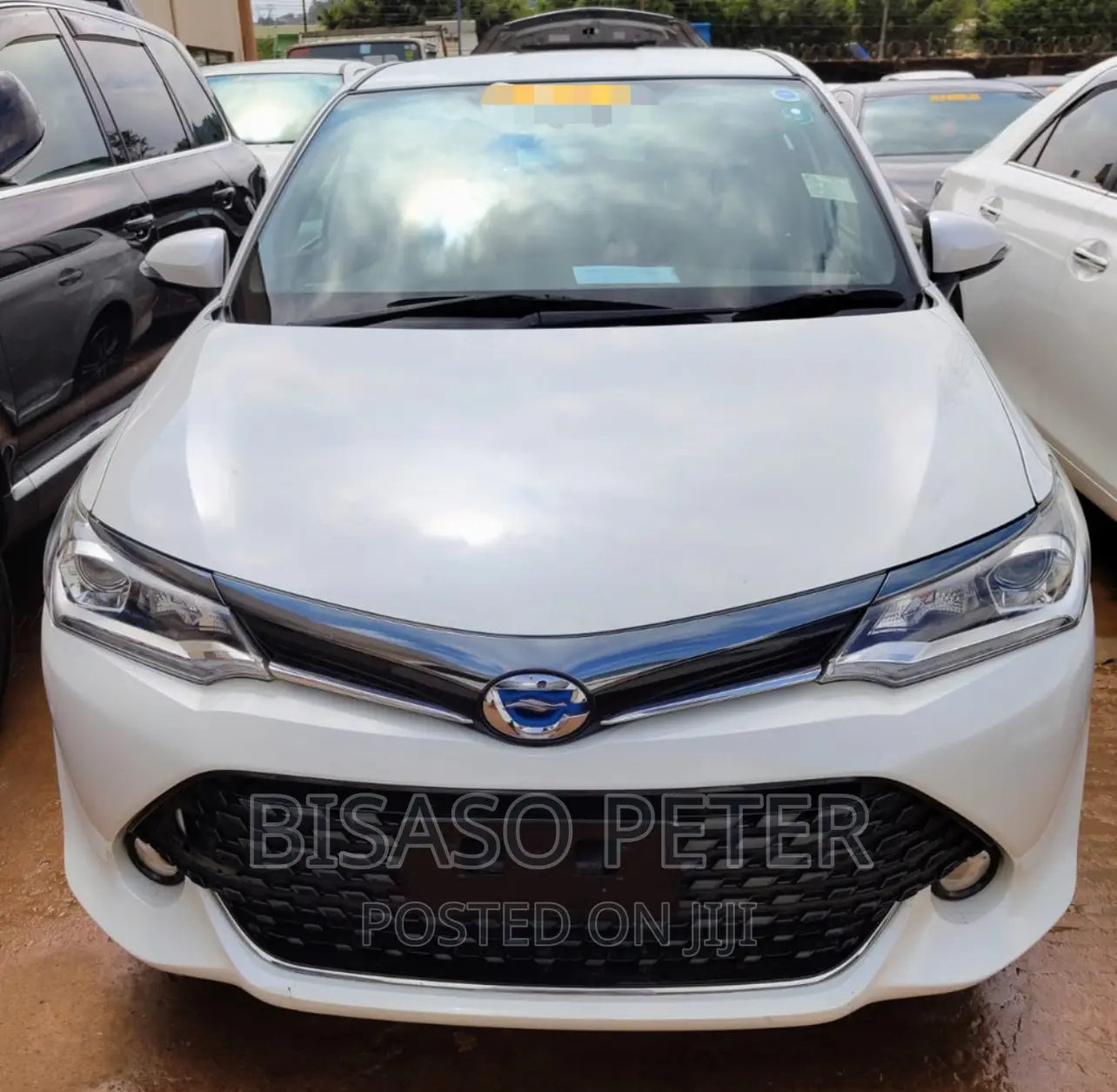 Toyota Corolla Fielder 2015 White