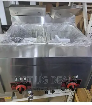 12l Gas Deep Fryer,Stainless Steel Countertop Lpg Gas Fryer